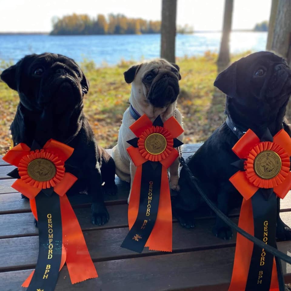 BPH för Maggan, Elsa och Anita